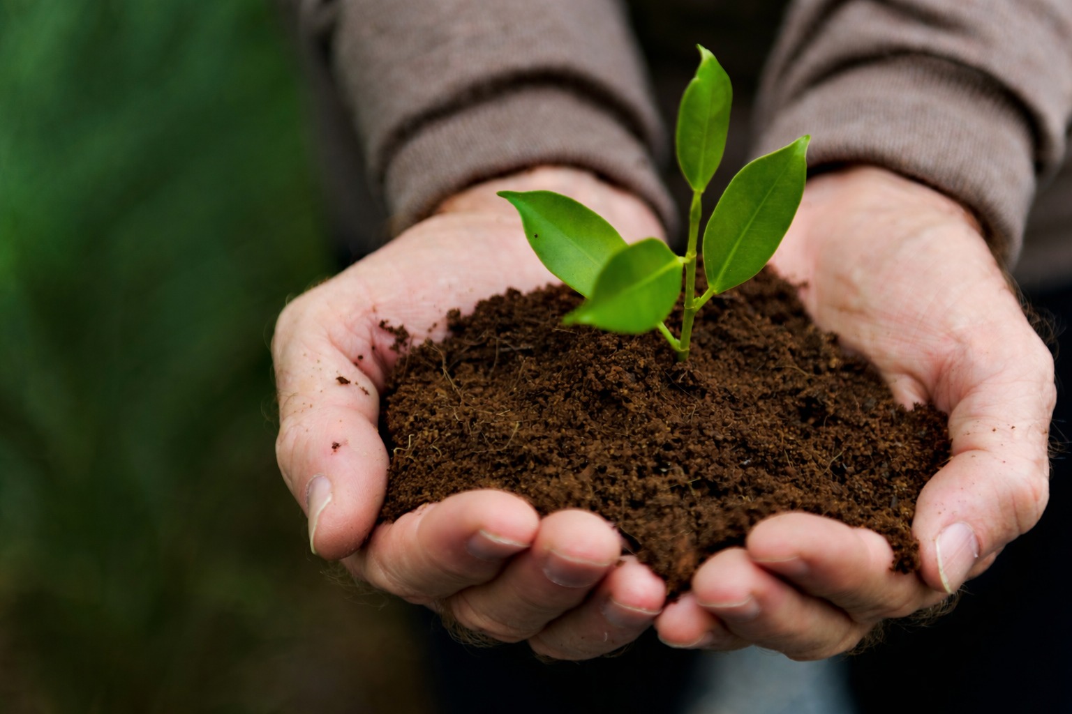 Rural Infrastructure